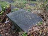 image of grave number 433384